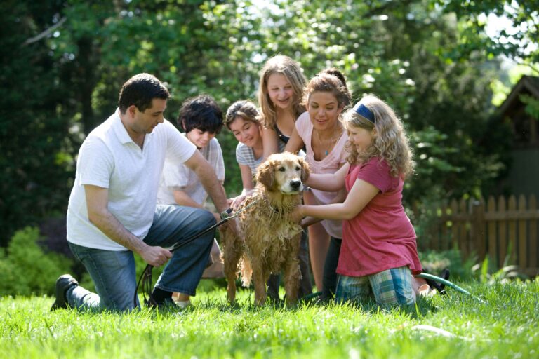 Ideas for Family Photoshoot Outfits